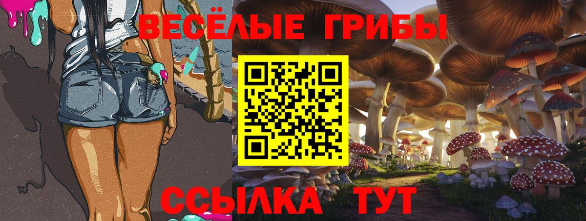 Галлюциногенные грибы ЛСД  Вход с VPN  Галлюциногенные грибы Psilocybe  Калуга 